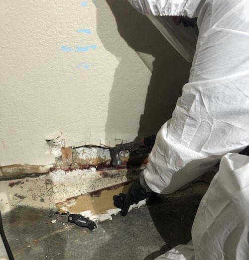 Blood Cleanup Company Blood Cleanup Company